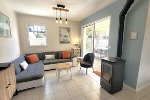 TV, fireplace, video games, DVD player