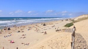 Una playa con gente tomando el sol y nadando, una cerca de madera y un cielo azul despejado.