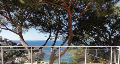 Magnificent view of Canyelles cove - Costa Brava 10mn walk from the beach