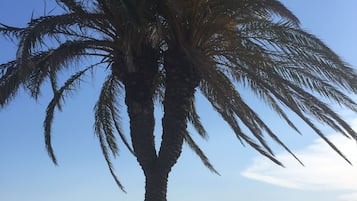 Una playa cerca