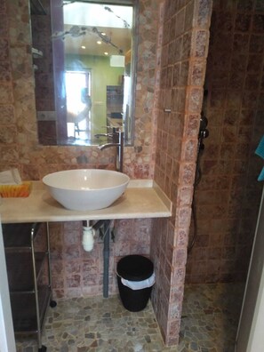 Shower, hair dryer, towels