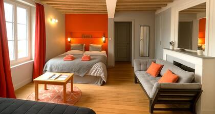 Beautiful apartment 35m2 Chartres center with parking