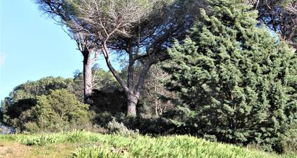 A cottage SENTEURS DE GARRIGUE offers peace and quiet in a corner of nature