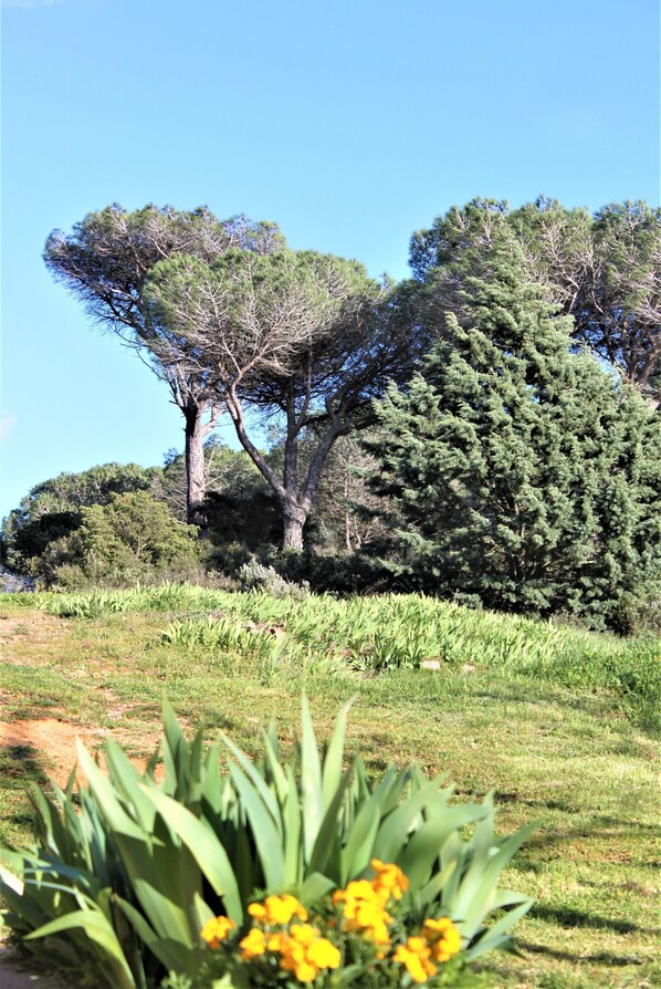 Parco della struttura