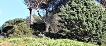 A cottage SENTEURS DE GARRIGUE offers peace and quiet in a corner of nature 