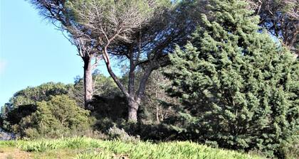 A cottage SENTEURS DE GARRIGUE offers peace and quiet in a corner of nature