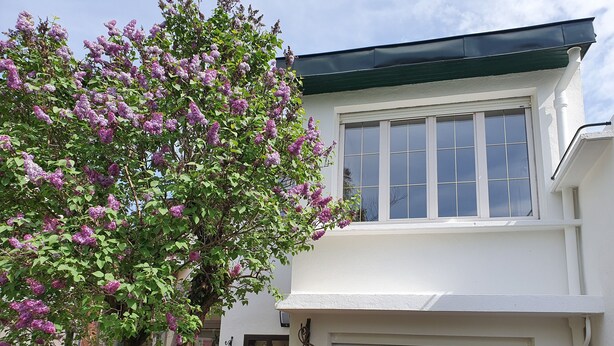 Una casa de dos pisos con fachada blanca, un garaje con persiana cerrada y un árbol con flores moradas al frente.