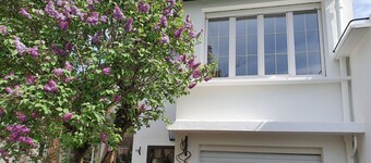 lilac Maladière