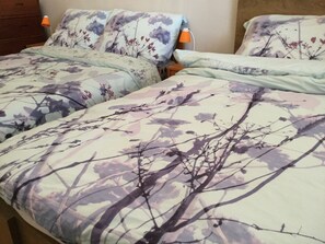2 bedrooms, iron/ironing board, free WiFi, bed sheets