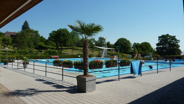 A swimming pool area with a palm tree, a slide, and a sign indicating 'Liegoviese'. - Modern apartment with terrace and use of sauna (Burgbernheim)