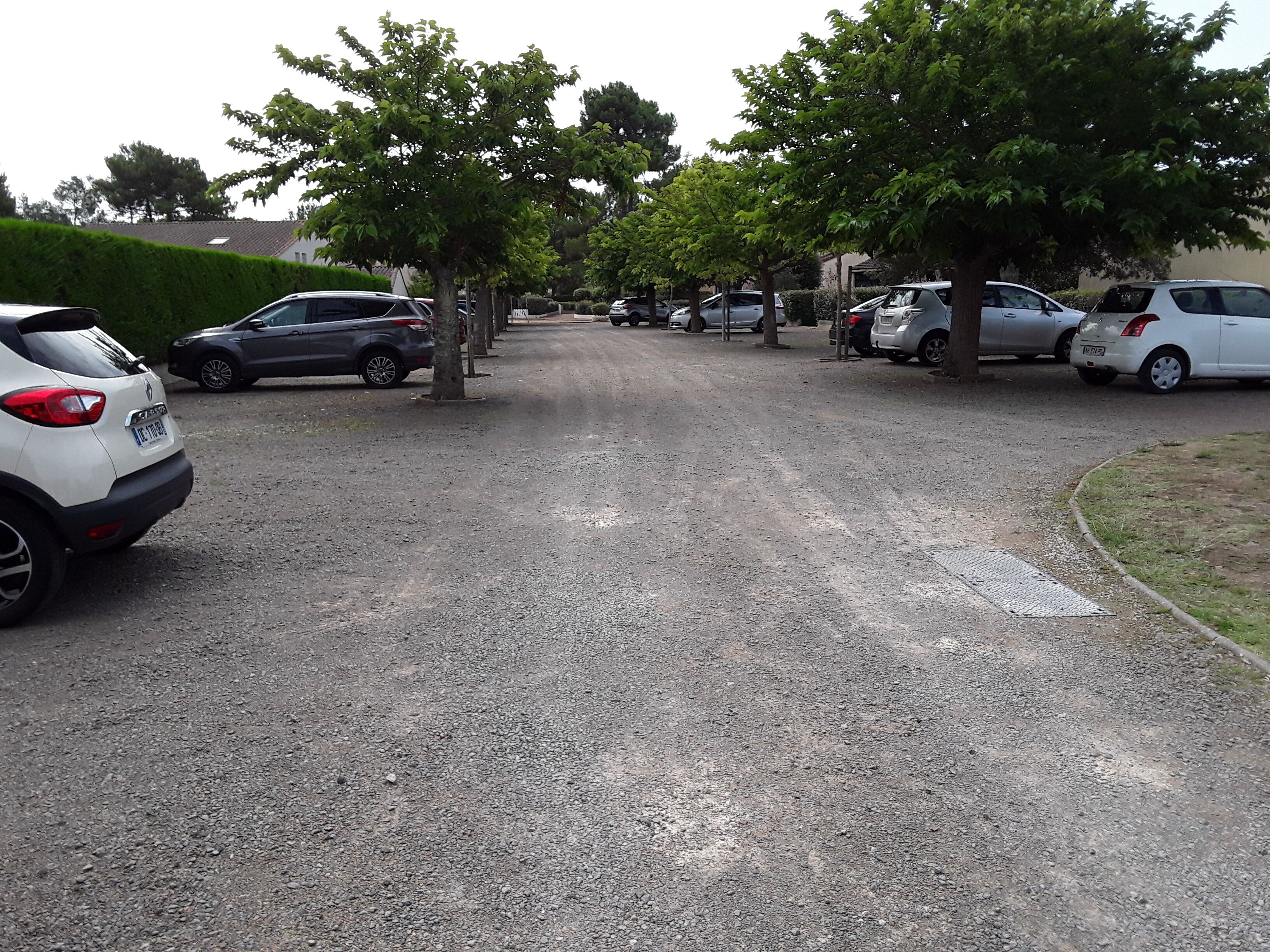 A gravel driveway with parked cars and trees lining the path.