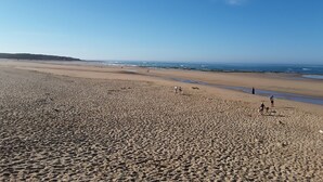 Ein weiter Sandstrand mit Spaziergängern und blauem Himmel.