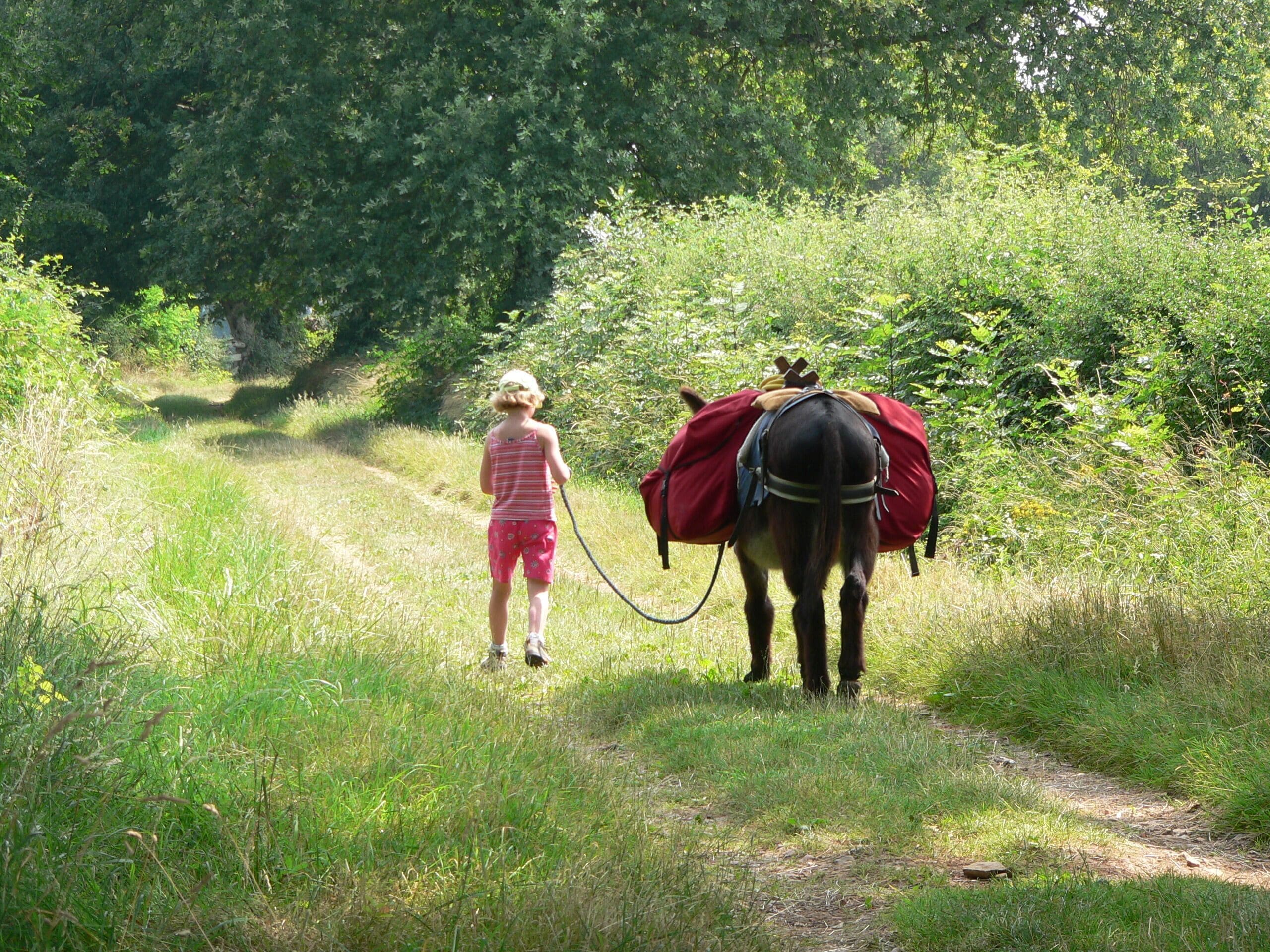 randonnée ane à partir de la ferme