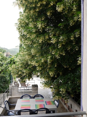 Outdoor dining - In the shade of the lime tree (Mollans-sur-Ouvèze)