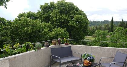 In the shade of the lime tree