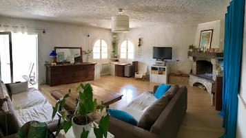 TV, fireplace, video games, DVD player