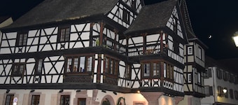 Le Cerisier: superb comfortable property with air-conditioned rooms and garden.