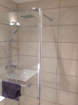 Shower, hair dryer, soap, toilet paper