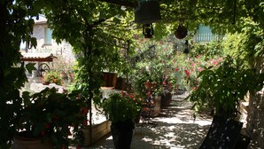 A garden with potted plants and a pathway. - Comfortable farmhouse with private pool and festive bar for 14 people (Sérignan-Du-Comtat)