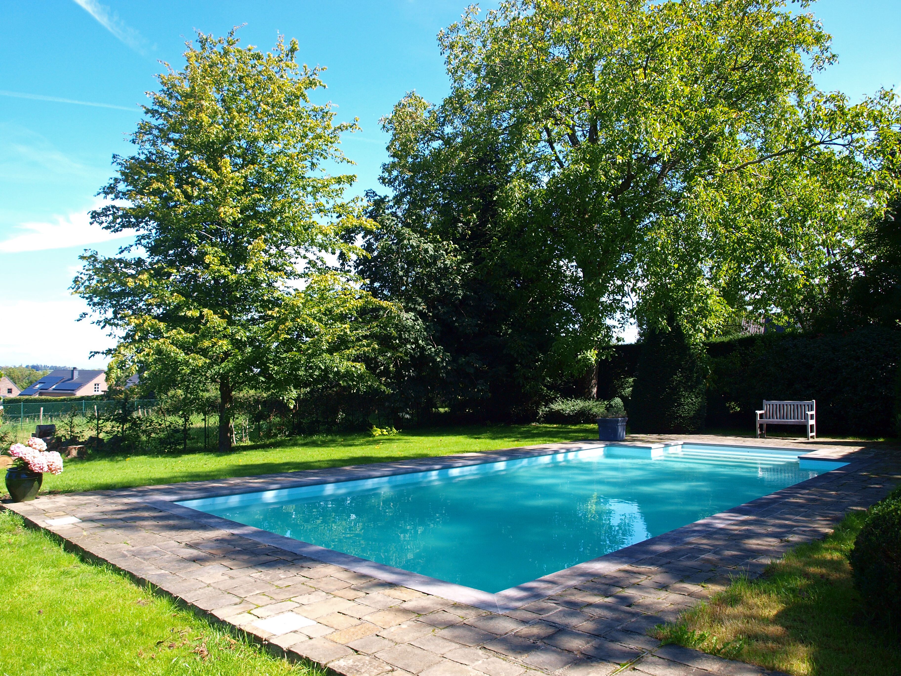 Une piscine rectangulaire bordée d’une terrasse, entourée d’une pelouse et d’arbres.