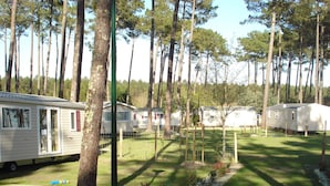 Ein Campingplatz mit mehreren Wohnmobilen, umgeben von hohen Bäumen und grünen Wiesen.