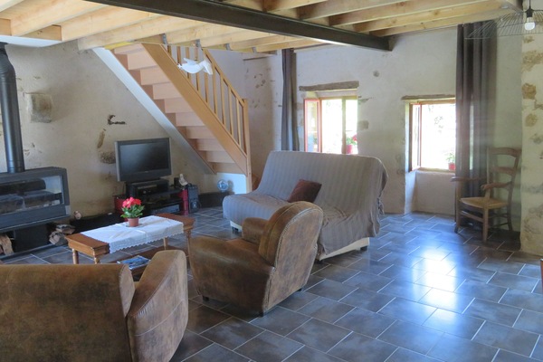 Televisión, chimenea, reproductor de DVD y libros