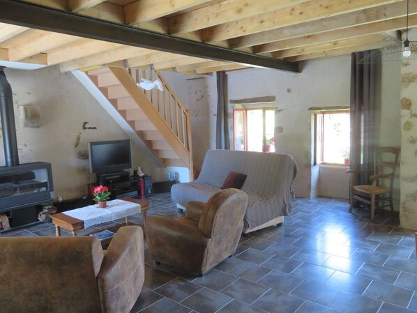 Télévision, cheminée, lecteur de DVD, livres