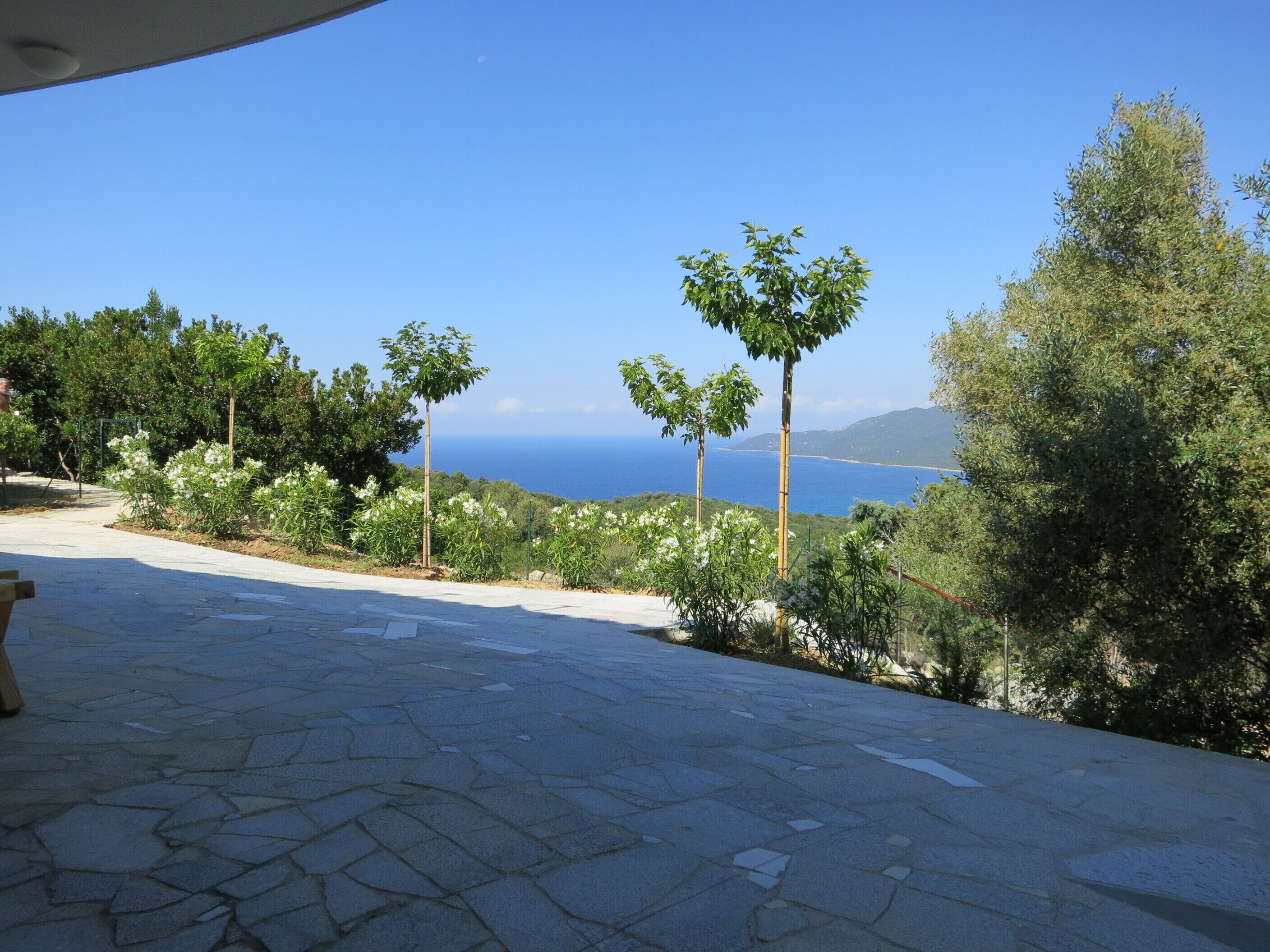 Ground floor villa 4 to 6 people with pool access sea view South Corsica
