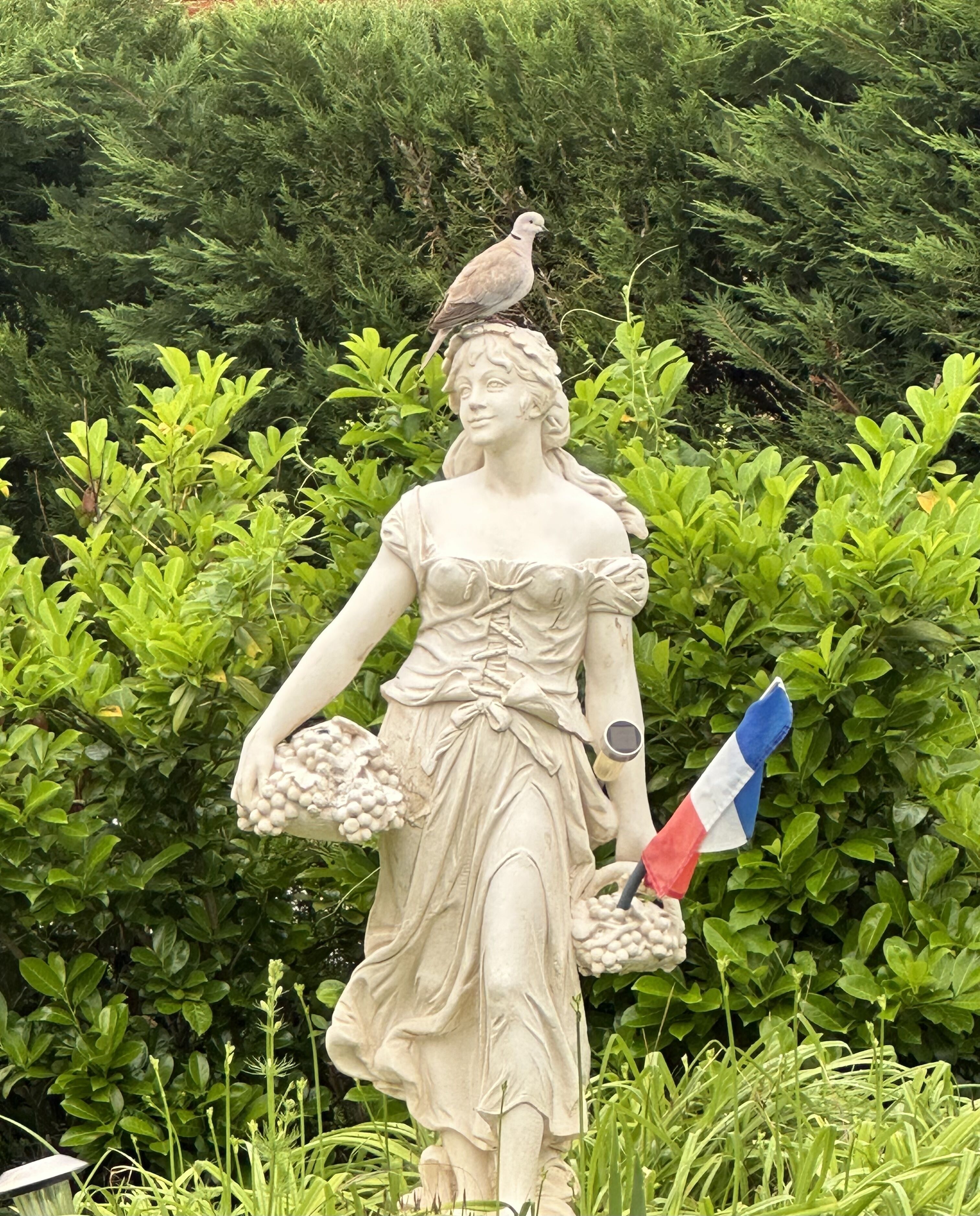 A statue of a woman holding a bunch of grapes and a flag, with a bird perched on her head, set against a backdrop of green foliage.