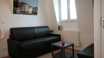 TV, DVD player, books, video library