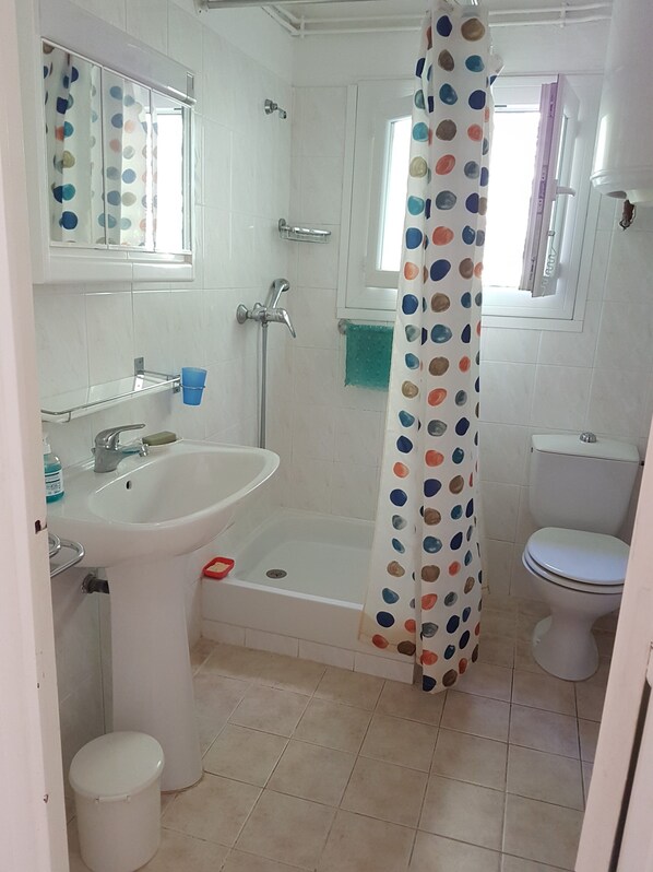 Chuveiro, secador de cabelo, papel higiênico 