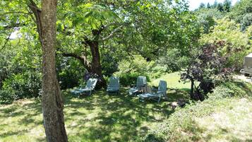 Un jardín con cuatro sillas Adirondack bajo un árbol grande, rodeado de abundante follaje.