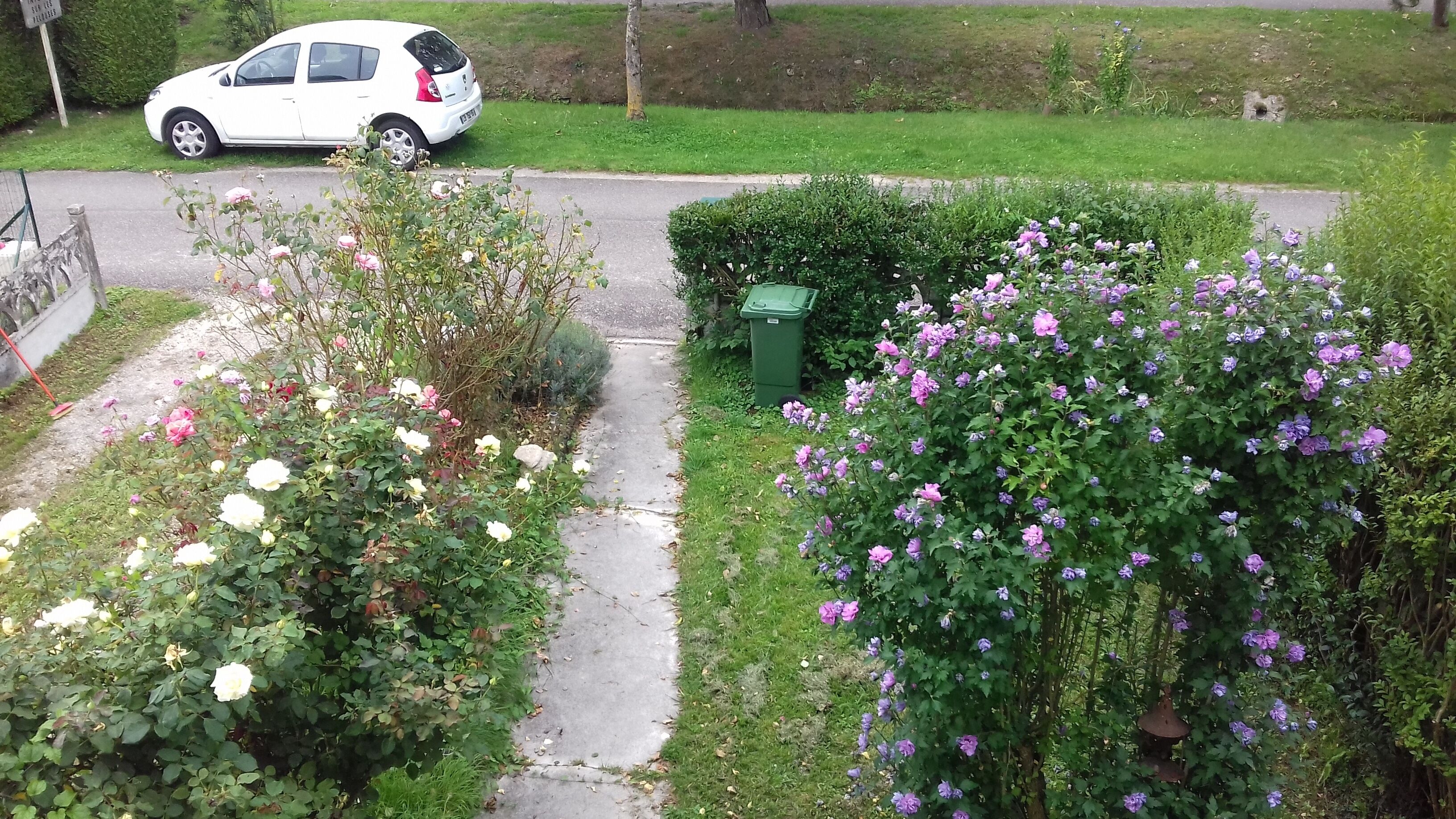 Isa's house in the countryside