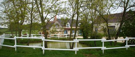 Áreas de la propiedad