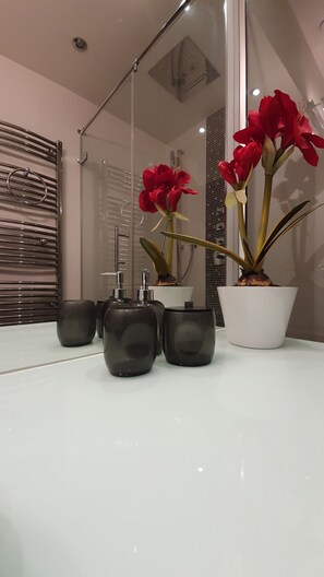 Combined shower/bathtub, hair dryer, towels, soap - Penthouse apartment with sea view and very large terrace and pool (Cannes)