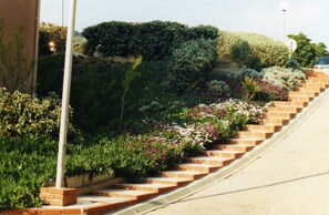 المنطقة المحيطة بالمنشأة