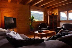 تلفزيون ذكي، مدفأة