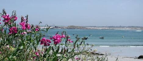 Plage à proximité