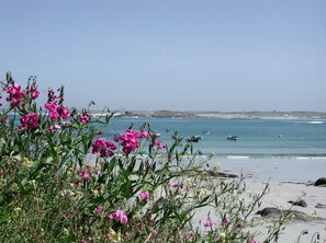 A beach with pink flowers in the foreground and boats on the water.