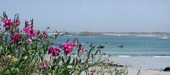 Appartamento e il suo cortile 6 a 12 persone a Guilvinec