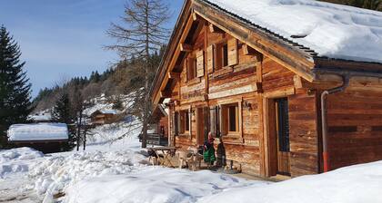 Chalet, breathtaking view - free shuttle .10 people