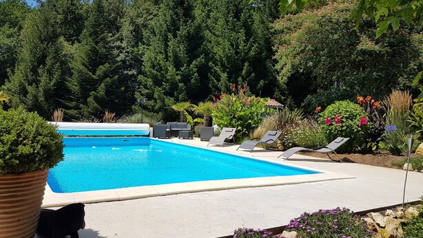 A swimming pool with lounge chairs and a potted plant.
