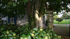 A garden with green foliage and a bicycle near a stone wall. - Family house in the park with exclusive pool (Vallenay)