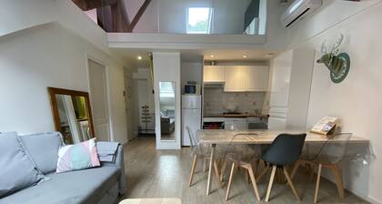 Au pied du télécabine, T3 50m2 pour 8 personnes.