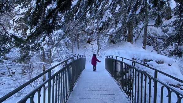 A snow-covered pathway with metal railings leading through a forest.