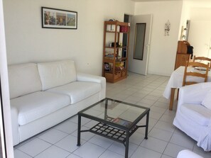 TV, video games, DVD player, books