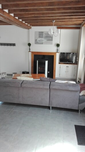 Télévision, cheminée, lecteur de DVD, livres