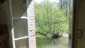 Ein Fenster mit Blick auf einen Teich, der von Bäumen umgeben ist.
