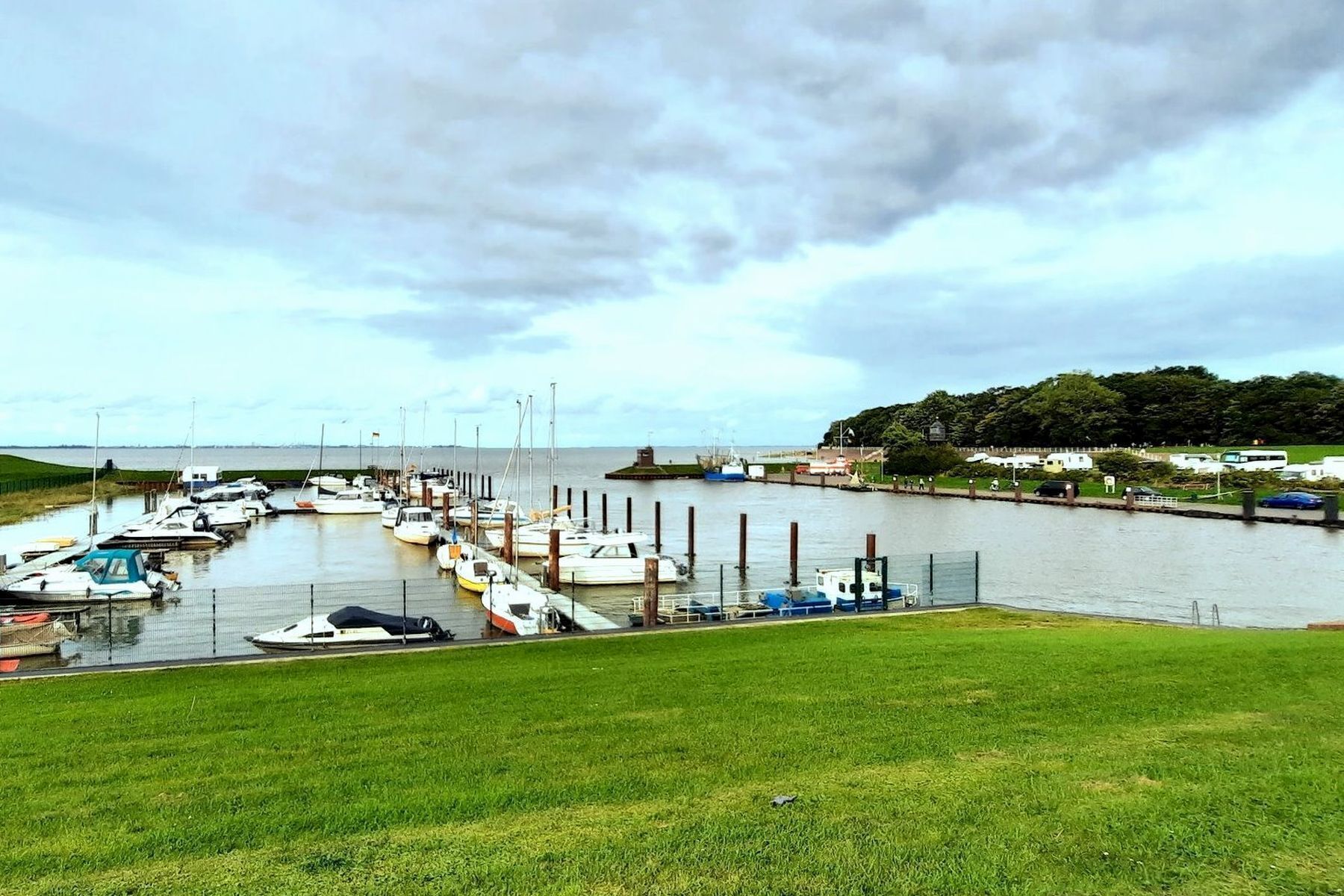 A marina with various boats docked, a grassy area in the foreground, and a body of water in the background.