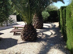 Jardines del alojamiento